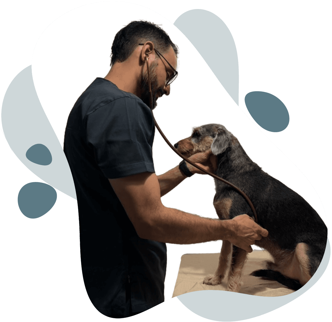 Dr. Bernal con mascota en consulta